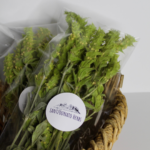 βιολογικό τσάι του βουνού σε μάτσο